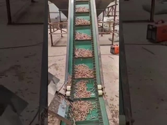 50-Hz-Ringdüsen-Holzpelletmaschine 3-Phasen-Vertikalpelletherstellungsmaschine 450-700 mm