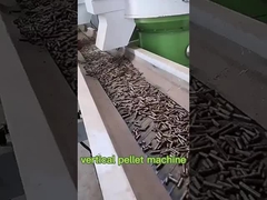 vertikale Biomassepelletmaschine Großkapazität Woo Pelletmühle