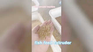 Nassprozess-Fischfutterextruder
