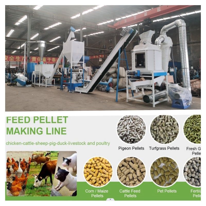Konsistente und präzise Pelletierung mit Pelletfutter-Produktionslinienkapazität 1-20 t/h