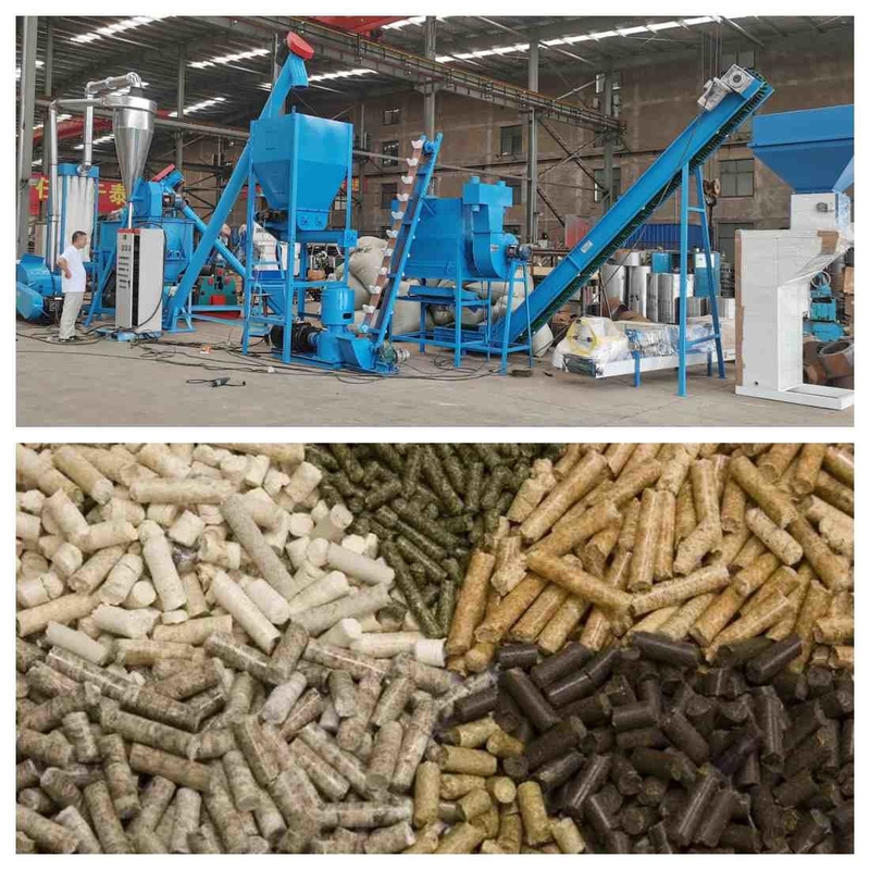 des Tierfutter-1000kg/H Zufuhr-Kugel-Granulierer Kugel-der Fertigungsstraße-1-12mm