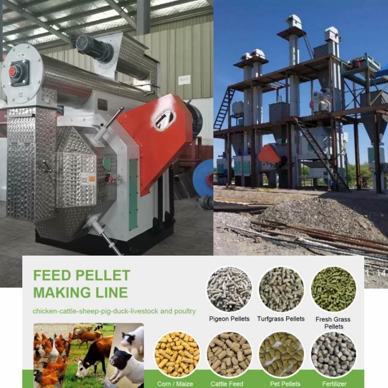 100kg 10 Ton Pellet Mill Machine Animal zum Zufuhr-Kugel-Fertigungsstraße-Biomasse-Brennstoff