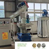 Kugel-Fertigungsstraße 800-1000kg/H Ring Die Pellet Production Line der Biomasse-55kw