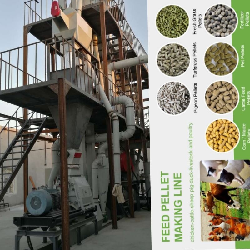 1-5 Kugel-Mühl-Ring Die Chicken Feed Manufacturing-Maschine Tons/H horizontale