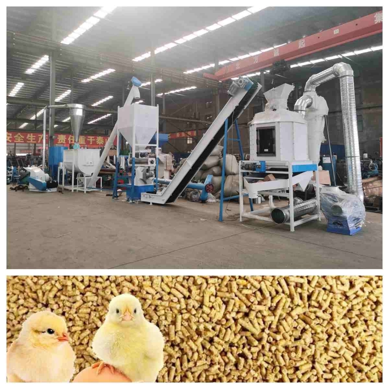 CER Zufuhr-Kugel-Fertigungsstraße 5t/H Ring Die Feed Pellet Machine mit Dampferzeuger