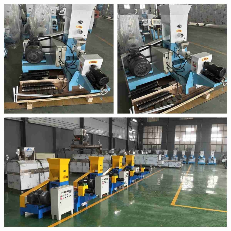 Zufuhr-Extruder-Maschinen-Haustier-Zufuhr-Kugel-Maschinen-Spindelpresse des Tilapia-100-200kg/H sich hin- und herbewegende