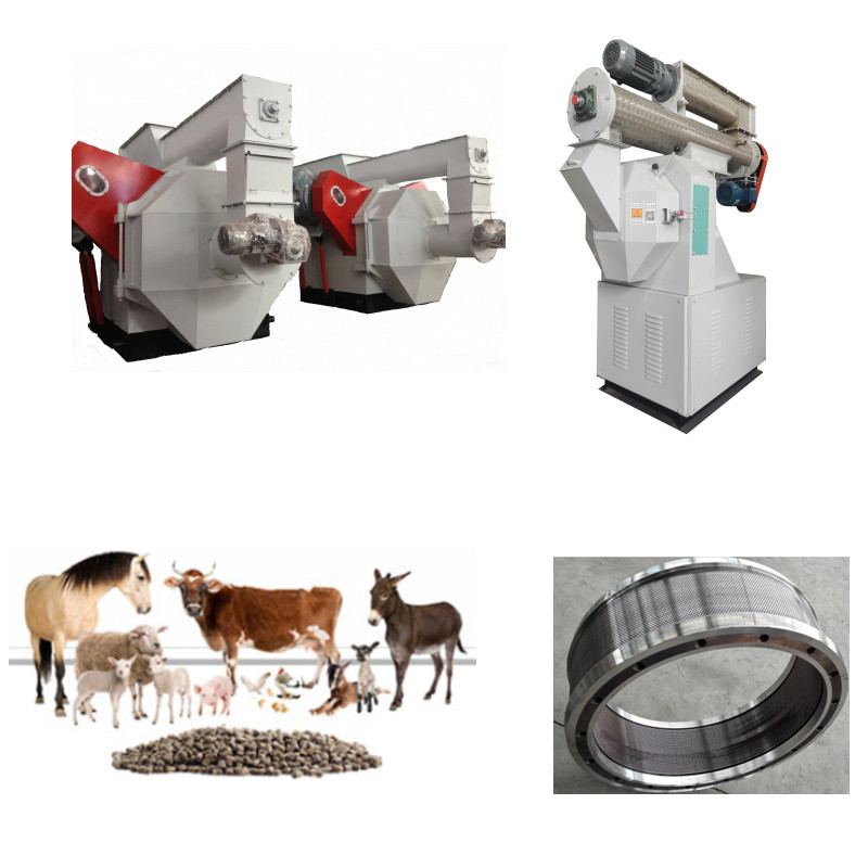 Hocheffiziente Produktionslinie für Futterpellets