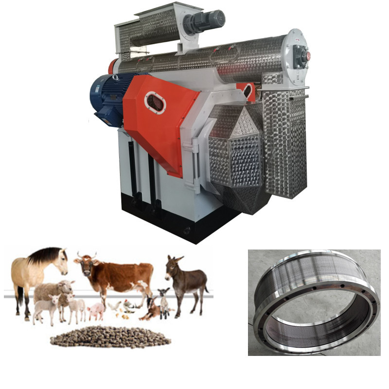 Hocheffiziente Produktionslinie für Futterpellets