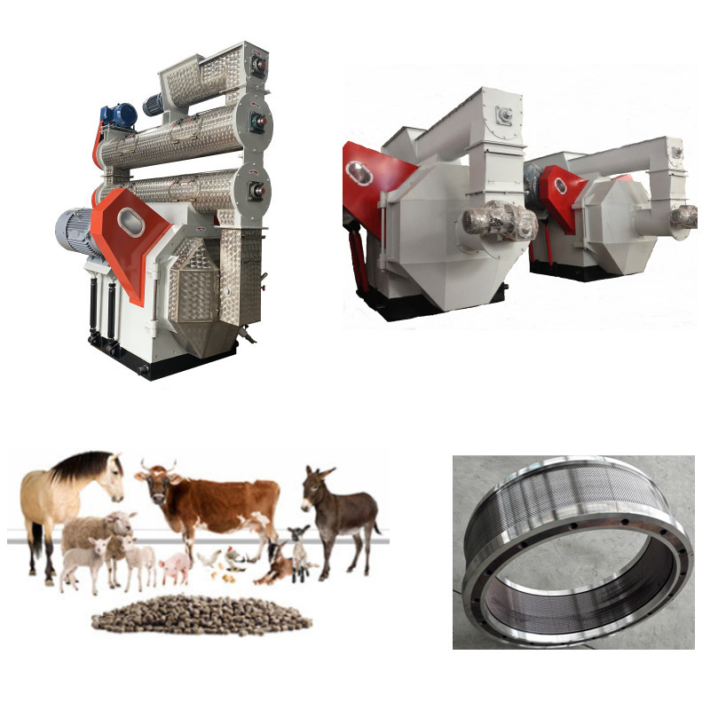 Hocheffiziente Produktionslinie für Futterpellets
