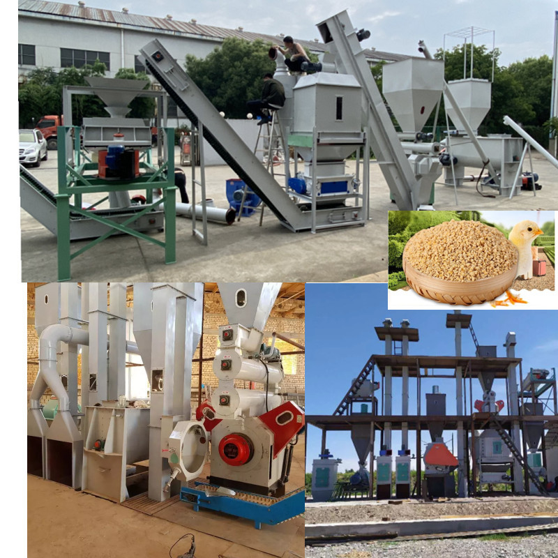 Hocheffiziente Produktionslinie für Futterpellets