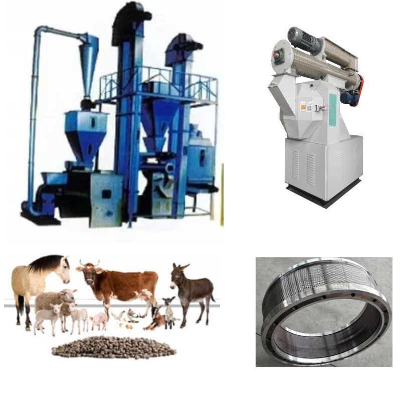 Hocheffiziente Produktionslinie für Futterpellets