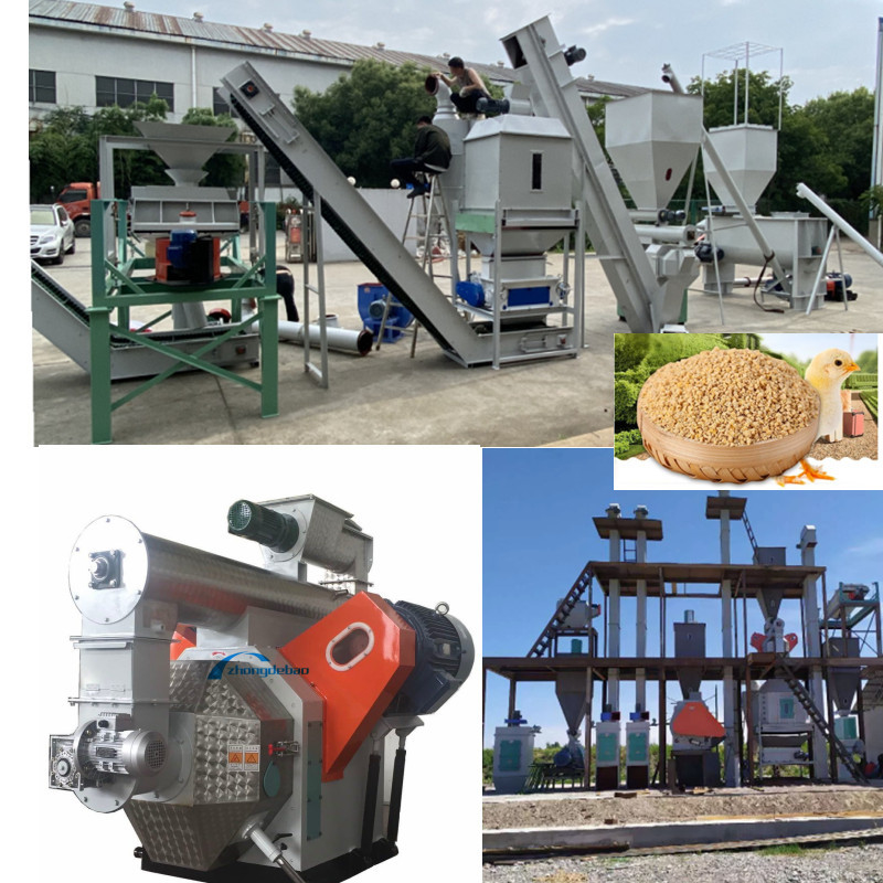 Hocheffiziente Produktionslinie für Futterpellets