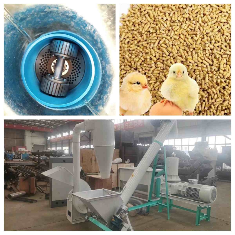 Ebene sterben kleine Tierfutter-Kugel-Fertigungsstraße des Zufuhr-Kugel-Hersteller-300kg/H -1000Kg/H