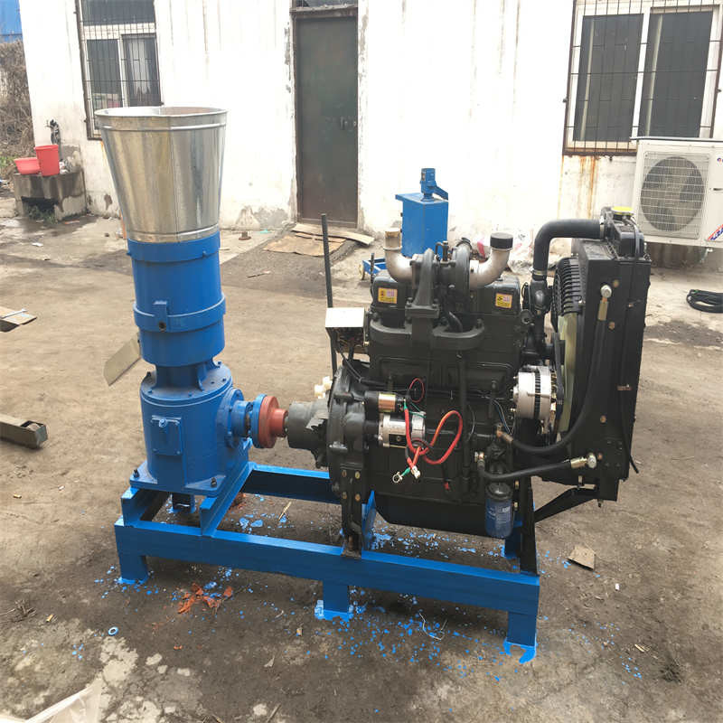 Geflügelfutter Pelletmühle Maschine Pelletmühle Pelletmachmaschine Maschine Haushalt 15HP 2200r/M