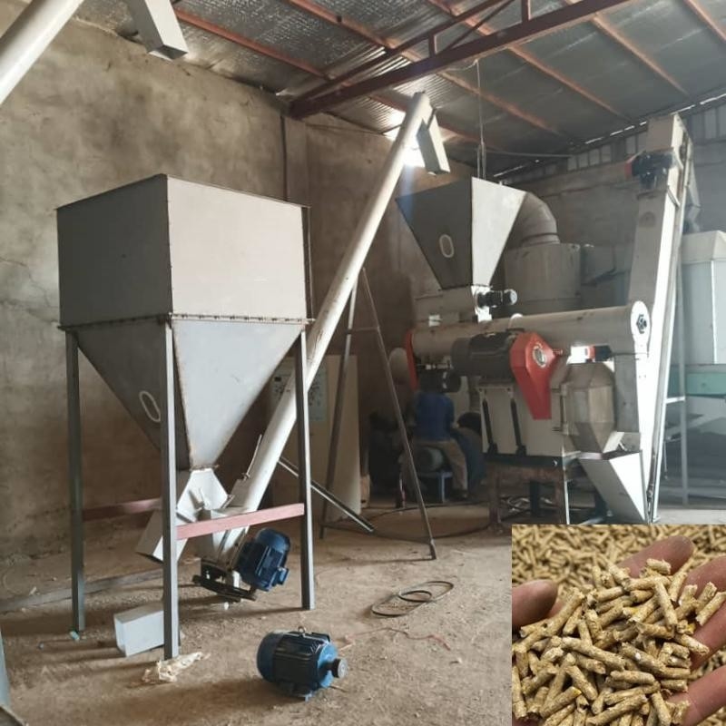 Tierfutter Pellets Produktionslinie Geflügelzucht Futtermittel Pelletiermaschine Pellet für Tierfutter herstellen
