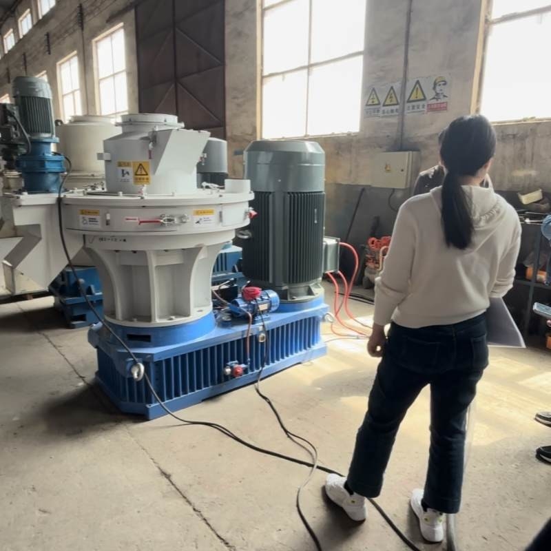 Holzsplitter Biomasse Brikettieren Schaf Stroh Biomasse Brennstoff Produktionsausrüstung Biomasse Brikettiermaschine
