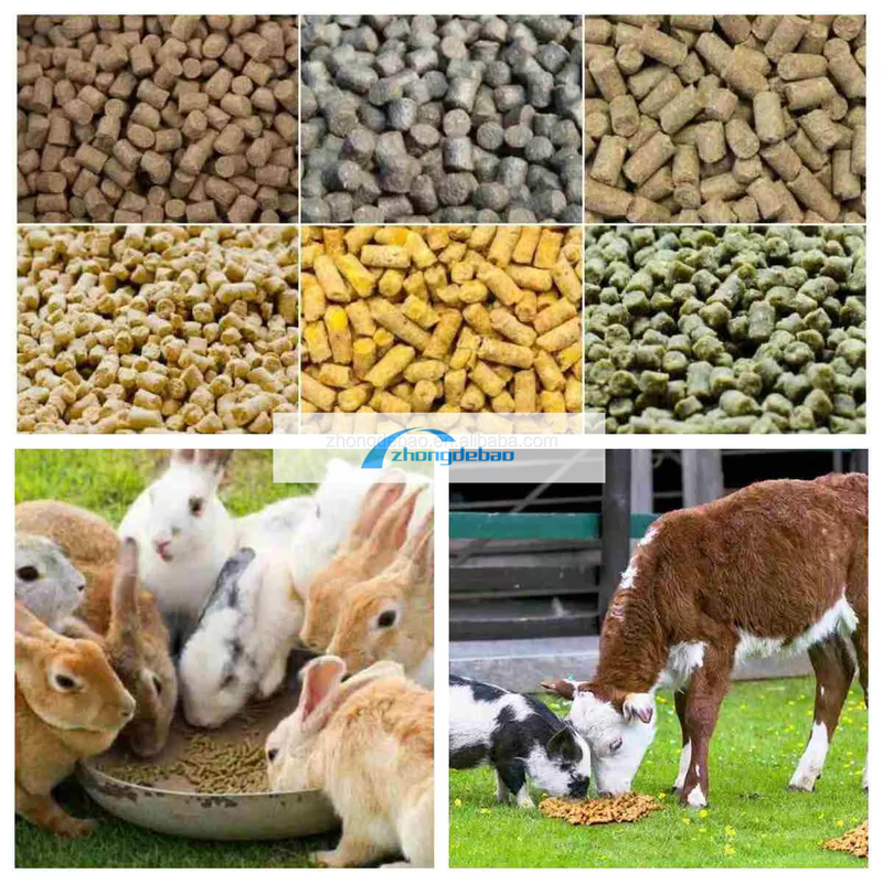 Maschine zur Herstellung von Futtermitteln der neuen Generation Fischfutterpellets Maschine 90-120 KG/H Futterpelletschmiede