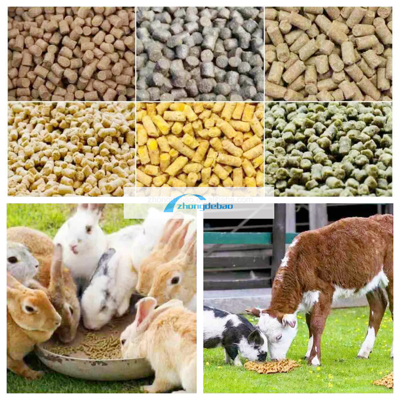 600-800 KG/H Leistung Fisch Futtermittelfabrik für Tiere Hunde und Katzen Futtermittel Pellets-Ausrüstung Lebensmittel-Extruder Pelletizer-Maschine