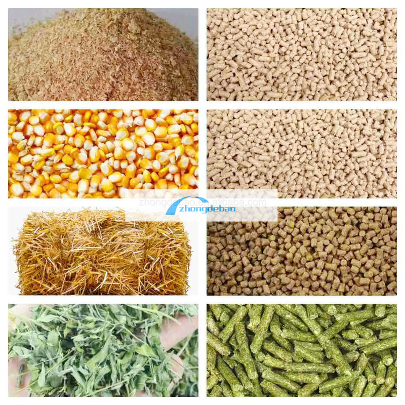 600-800 KG/H Leistung Fisch Futtermittelfabrik für Tiere Hunde und Katzen Futtermittel Pellets-Ausrüstung Lebensmittel-Extruder Pelletizer-Maschine