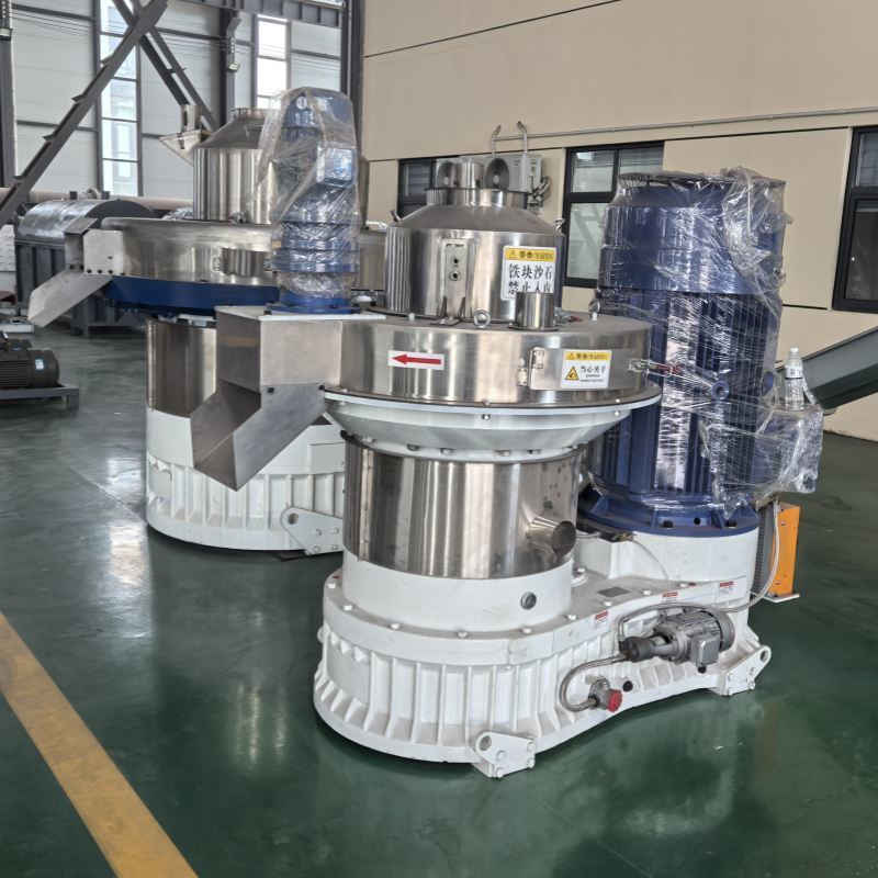 Leicht zu bedienende Ringmatrizen-Holzpelletmühle: Effiziente Produktion mit langlebiger Struktur