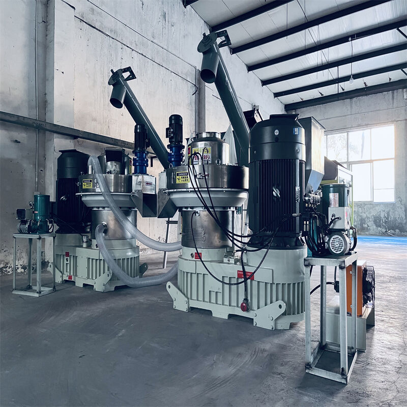 Hochwertige Ringmatrizen-Holzpelletpresse für die saubere Energieerzeugung