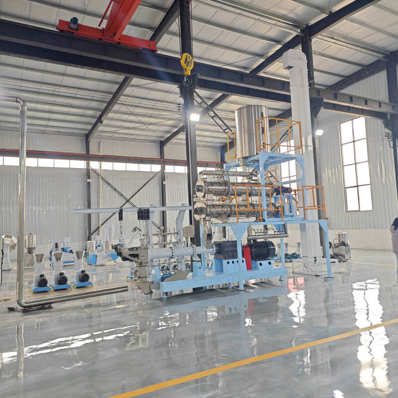 Multifunktionale Einzel-Twin-Schraub-Futter-Extrusionslinie 500KG/H-10T/H Kapazität für die Fischfutter- und Tierfutterproduktion mit Edelstahlkonstruktion