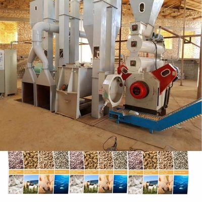Anlage für die Verarbeitung von Pellet für Tierfutter, Geflügel, Hühner, Rinderfutter